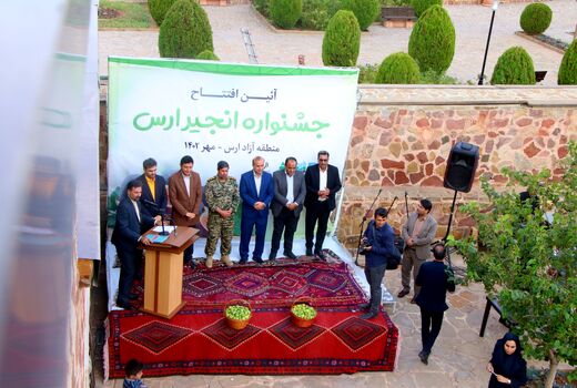رتبه نخست شهرستان جلفا در تولید انجیر / برداشت 1500 تن انجیر