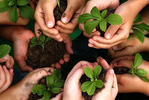 گسترش اشتغال پایدار از طریق شبکه‌سازی صندوق‌های روستایی وعشایری