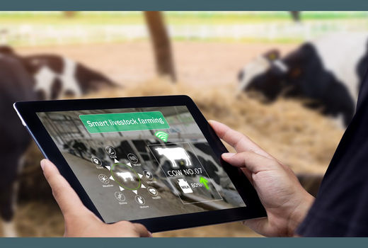 ۱۵ درصد واحدهای خوراک با استانداردهای جهانی کار می‌کنند