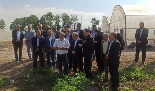بازدید معاونان وزیر جهاد کشاورزی از مزرعه تولید بذر سبزی و صیفی مرکز آموزش عالی امام خمینی(ره)
