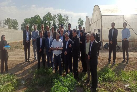 بازدید معاونان وزیر جهاد کشاورزی از مزرعه تولید بذر سبزی و صیفی مرکز آموزش عالی امام خمینی(ره)
