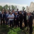 بازدید معاونان وزیر جهاد کشاورزی از مزرعه تولید بذر سبزی و صیفی مرکز آموزش عالی امام خمینی(ره)
