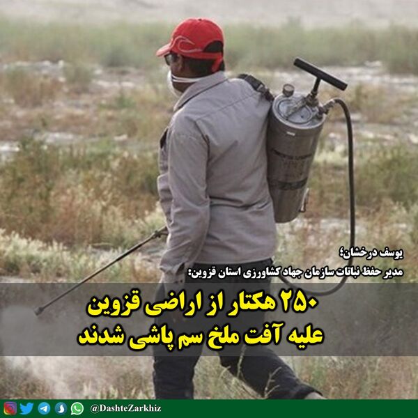 ۲۵۰ هکتار از اراضی قزوین علیه آفت ملخ سم پاشی شدند
