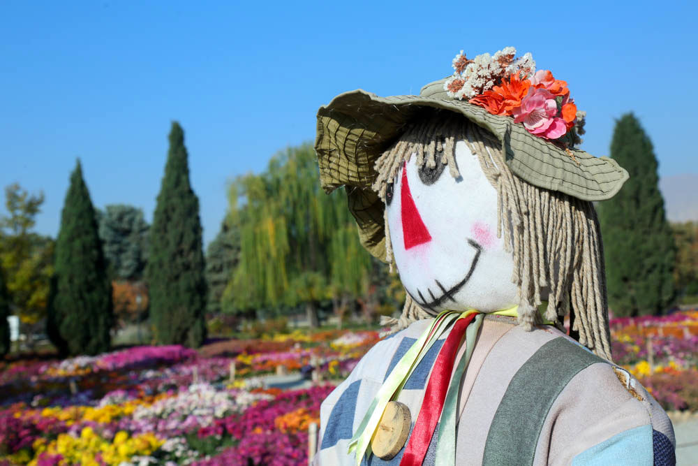 بازدید تور رسانه ای از باغ ملی گیاه شناسی ایران                   