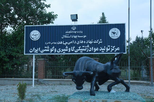   مرکز ملی ژنتیک دامی   