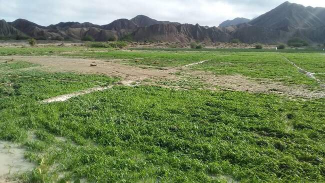خسارت سیل در سیستان و بلوچستان