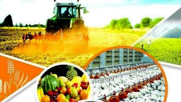 تجلیل از شش نـمــونه منتخب ملی بخش کشاورزی  استان اصفهان