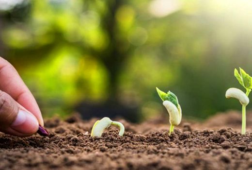 تامین امنیت غذایی با افزایش بهره‌وری در استان اصفهان 