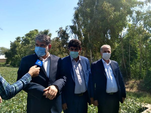 انجام اقدامات علمی و کارشناسی در حوزه مختلف منابع طبیعی ایلام 