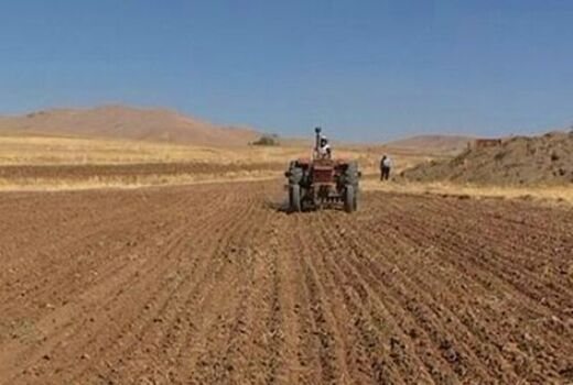 ۱۱ هزار تن بذر با آغاز کشت گندم در بوشهر تامین شد
