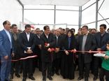 افتتاح گلخانه ۴ هکتاری «محور راه ستاره مهر» در شهرک کشاورزی ملکان