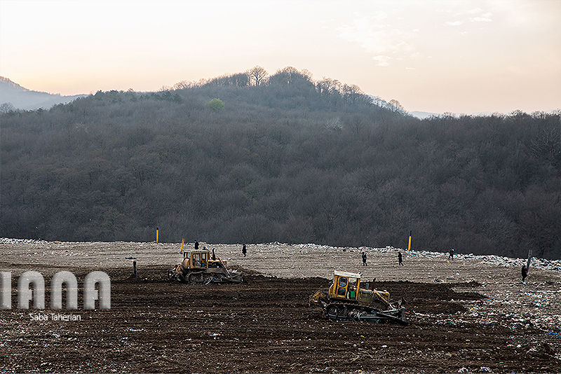 زباله دانی به وسعت یک جنگل