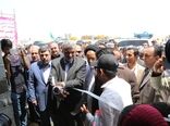 افزایش 4 برابری تولید میگو در شش سال اخیر