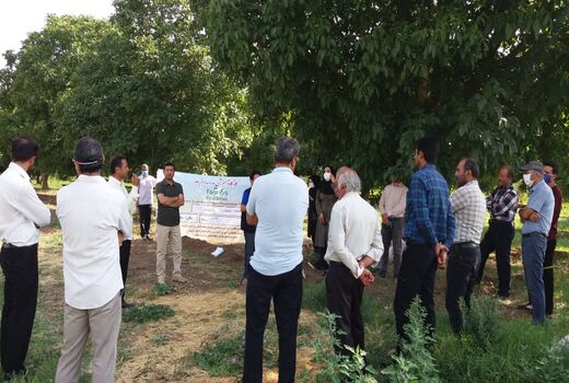 کارگاه آموزشی مدرسه در مزرعه در مزارع ذرت علوفه‌ای استان قزوین