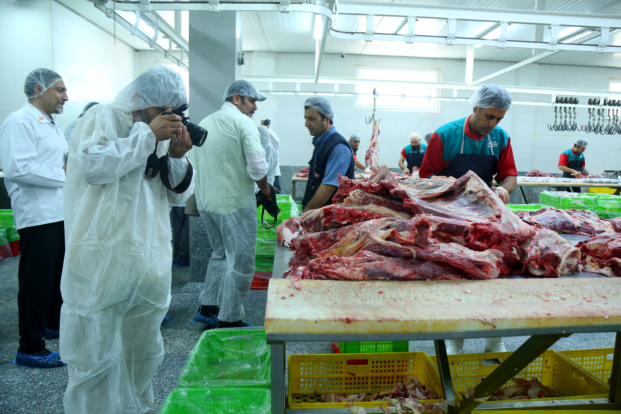 تور رسانه ای به مناسبت هفته دامپزشکی 