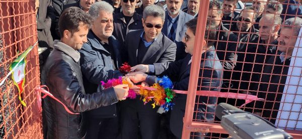 پروار بندی گوساله ۲۴۶ رأسی شهرستان پاوه افتتاح شد