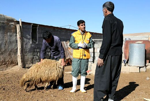 آغاز سی و چهارمین مقصد رزمایش‌های استانی جهاد دامپزشکی در لرستان