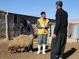 آغاز سی و چهارمین مقصد رزمایش‌های استانی جهاد دامپزشکی در لرستان