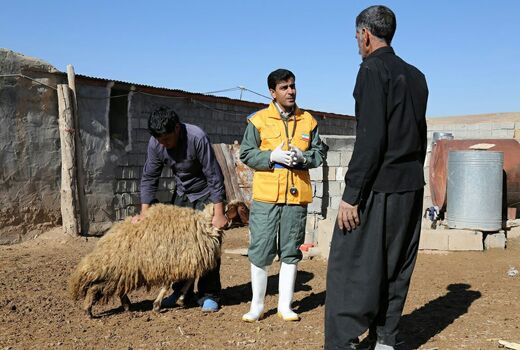 آغاز سی و چهارمین مقصد رزمایش‌های استانی جهاد دامپزشکی در لرستان
