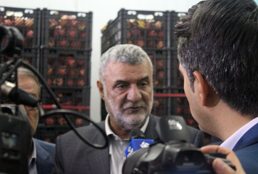 ظرفیت سردخانه های استان فارس 2.5 برابر افزایش یافت