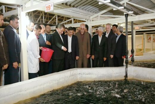 فاز یک و دو طرح توسعه مزرعه ماهی سرای کرج افتتاح شد