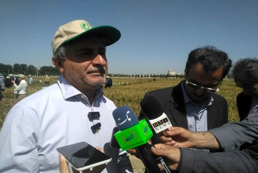 خودکفایی پایدار در تولید گندم و شکر امکان پذیر است