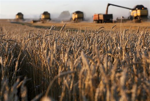 مثبت شدن تراز تجاری بخش کشاورزی کردستان در دوران تحریم