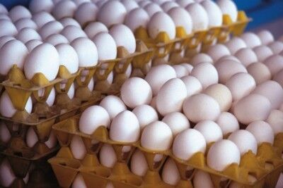 آنفلوآنزا راه تجارت را بست/ راهبردهای اجرایی افزایش صادرات