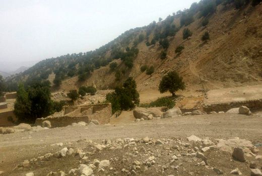 صیانت از عرصه های طبیعی وظیفه ملی و همگانی است