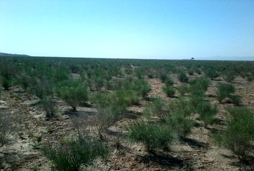 پروژه مدیریت هرزآب در شهرستان سرخه به پایان رسید