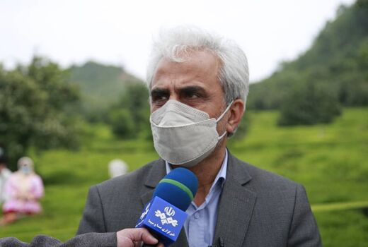 خریداری بالغ بر 52هزار تن برگ سبز چای از کشاورزان گیلانی و مازندرانی