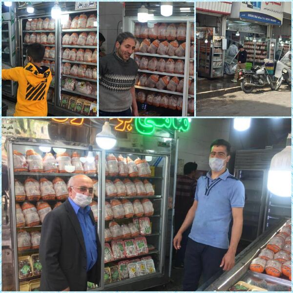 بیش از ۳۳۱ هزار قطعه مرغ در بازار قزوین توزیع شد