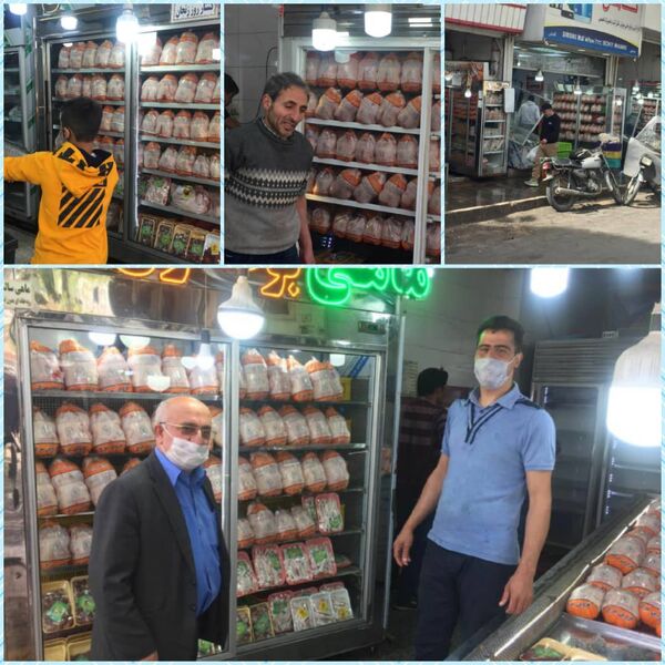 بیش از ۳۳۱ هزار قطعه مرغ در بازار قزوین توزیع شد