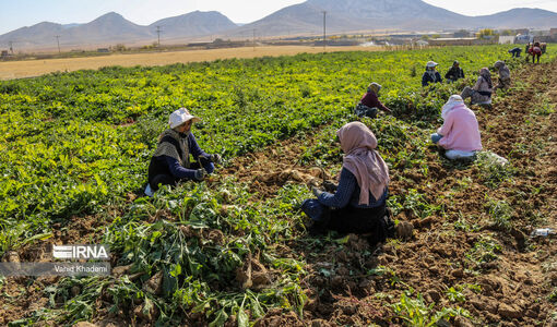 اهمیت آموزش، ترویج و مشارکت‌های مردمی و ضرورت ارتقای جایگاه آن در نظام مدیریتی منابع طبیعی