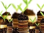 سرمایه‌گذاری 13 هزار و 850 میلیارد ریالی در بخش دام و طیور زنجان