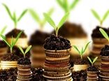 سرمایه‌گذاری 13 هزار و 850 میلیارد ریالی در بخش دام و طیور زنجان