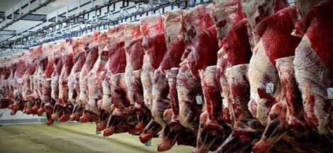 آغاز مرحله اول خرید حمایتی گوشت قرمز از دامداران استان اصفهان