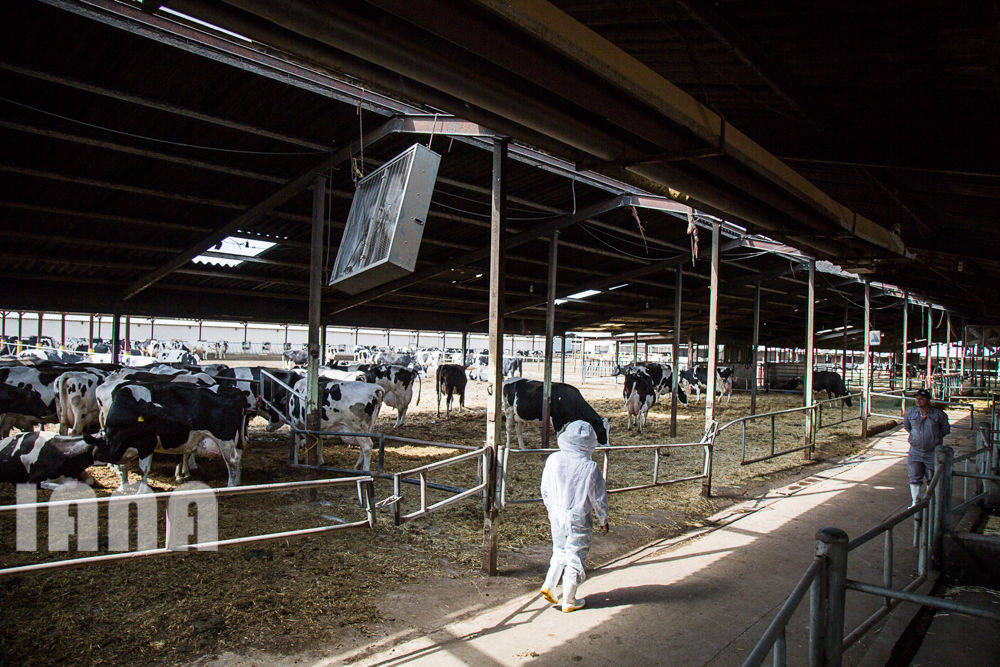 کشاورزی استان زنجان