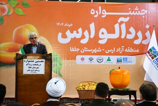 ظرفیت برداشت ۵۰ هزار تن زردآلو در جلفا/ توسعه صنایع تبدیلی در اولویت است