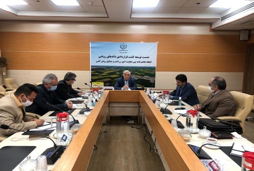 کشت قراردادی دانه های روغنی توسعه می‌یابد