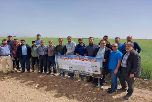 برگزاری روز مزرعه کلزا در شهرستان قزوین