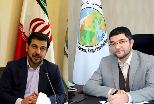 تجلیل از عملکرد مطلوب  دکتر مهردادی  در برنامه اقدام جهش سازمان جنگلها،مراتع و آبخیزداری کشور