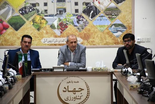 فعالیت 19 واحد فرآوری گیاهان دارویی با ظرفیت 22 هزار و 115 تن در آذربایجان شرقی 
