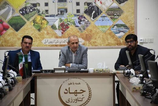 فعالیت 19 واحد فرآوری گیاهان دارویی با ظرفیت 22 هزار و 115 تن در آذربایجان شرقی 
