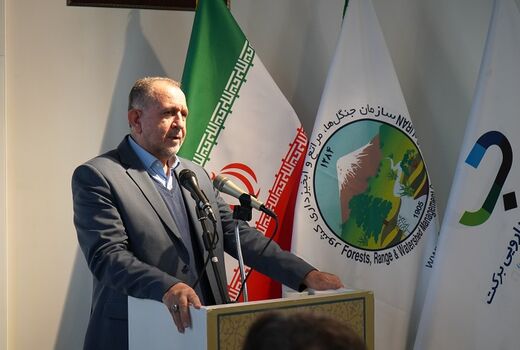 کشت گیاهان دارویی در شهرک دارویی برکت گسترش می‌یابد