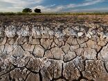 بهره‌وری خاک و کشاورزی حفاظتی؛ مسیری برای پایداری تولید