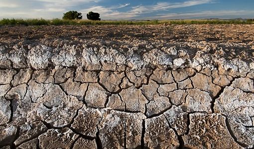 بهره‌وری خاک و کشاورزی حفاظتی؛ مسیری برای پایداری تولید