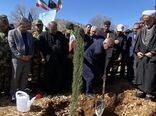 پویش “سرو ایران” به یاد رهبر شهید در قلب زاگرس