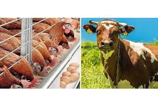پرداخت 47 میلیارد تسهیلات سرمایه در گردش در کلاردشت