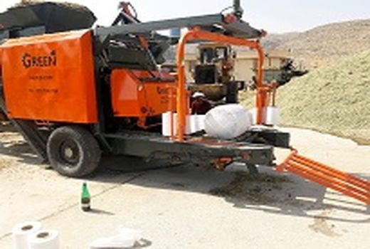 تولید 40 هزار تن ذرت علوفه ای در خرم بید 